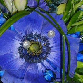 Kukkakimppu sinisillä ja valkoisilla kukilla